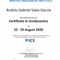 Ampliar imagen: certificate 5