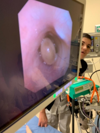 Carlos Alejandro De Alba De Lira-3