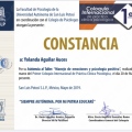 Ampliar imagen: certificate 18