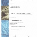 Ampliar imagen: certificate 11