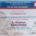 Ampliar imagen: certificate 14