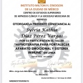 Ampliar imagen: certificate 9