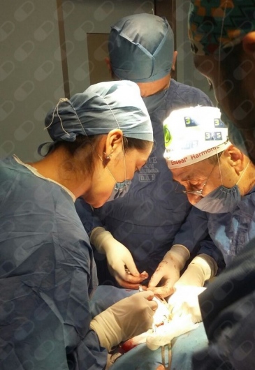 Maribel Ortega Ortega-6