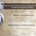 Ampliar imagen: certificate 6