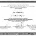 Ampliar imagen: certificate 8