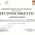 Ampliar imagen: certificate 7
