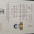 Ampliar imagen: certificate 6