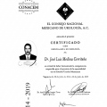 Ampliar imagen: certificate 2