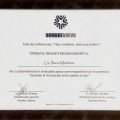 Ampliar imagen: certificate 11