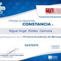 Ampliar imagen: certificate 23