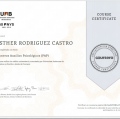 Ampliar imagen: certificate 5