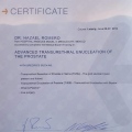 Ampliar imagen: certificate 2