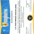 Ampliar imagen: certificate 10