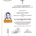 Ampliar imagen: certificate 2