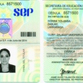 Ampliar imagen: certificate 3