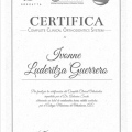 Ampliar imagen: certificate 9