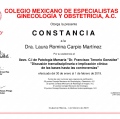 Ampliar imagen: certificate 11