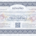 Ampliar imagen: certificate 8