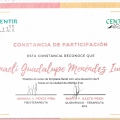 Ampliar imagen: certificate 7