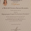 Ampliar imagen: certificate 3