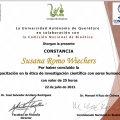Ampliar imagen: certificate 7