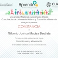 Ampliar imagen: certificate 15