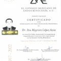 Ampliar imagen: certificate 3