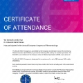 Ampliar imagen: certificate 2