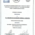 Ampliar imagen: certificate 19