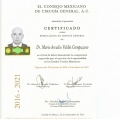 Ampliar imagen: certificate 2