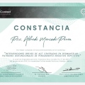 Ampliar imagen: certificate 7