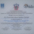 Ampliar imagen: certificate 7