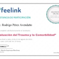 Ampliar imagen: certificate 12