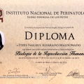Ampliar imagen: certificate 7