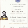 Ampliar imagen: certificate 6
