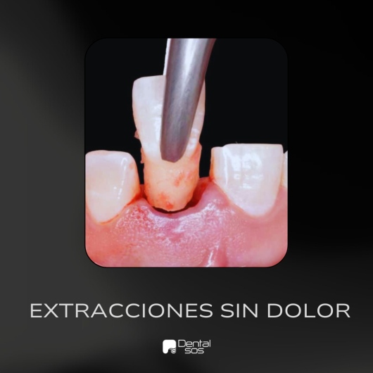 Eduardo Montoya Villaseñor-6