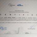 Ampliar imagen: certificate 6