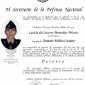 Ampliar imagen: certificate 8