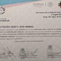 Ampliar imagen: certificate 10