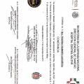 Ampliar imagen: certificate 13