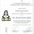 Ampliar imagen: certificate 2