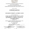 Ampliar imagen: certificate 2