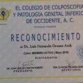Ampliar imagen: certificate 23