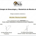 Ampliar imagen: certificate 7