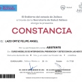 Ampliar imagen: certificate 6