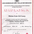 Ampliar imagen: certificate 2