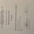 Ampliar imagen: certificate 28