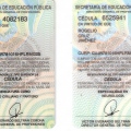 Ampliar imagen: certificate 3