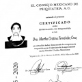 Ampliar imagen: certificate 5