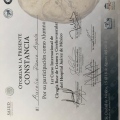 Ampliar imagen: certificate 6